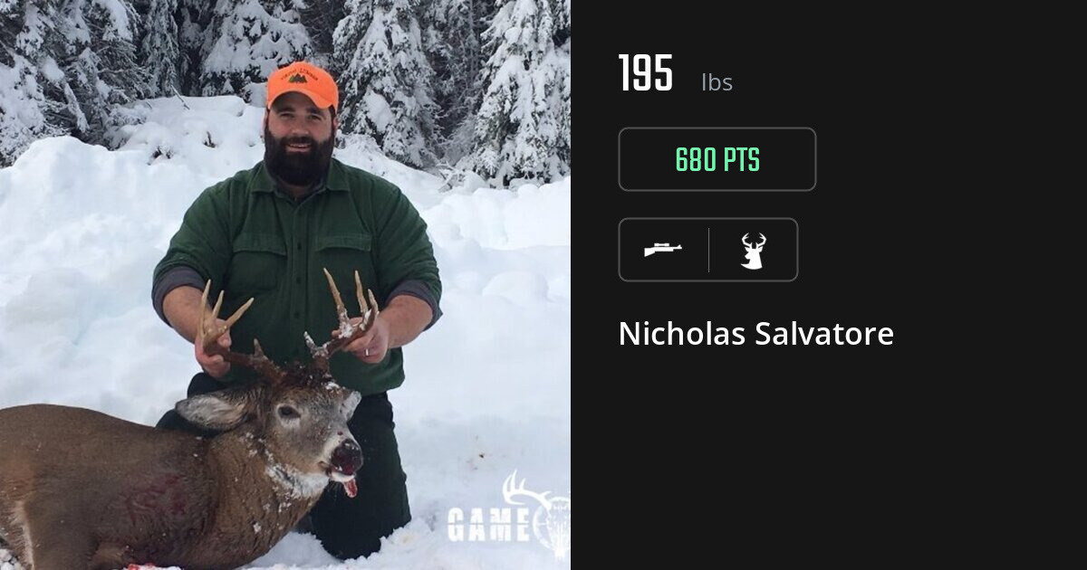 deer harvest by Nicholas Salvatore