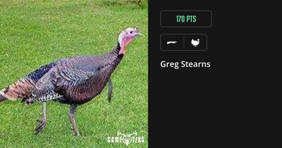 Turkey harvest on Gametiks