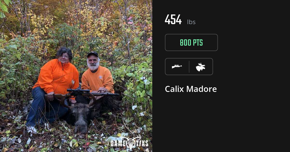 moose harvest by Calix Madore