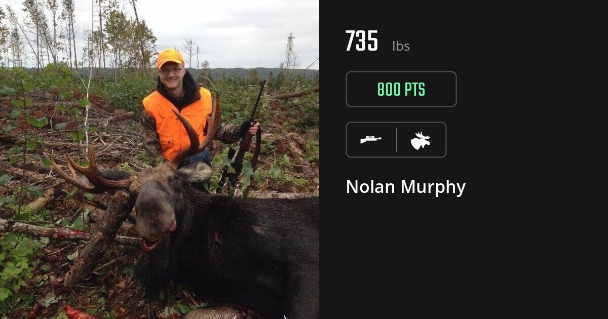 Moose harvest on Gametiks