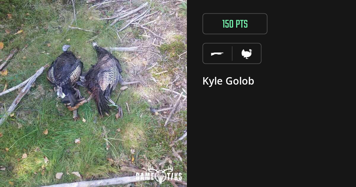 Turkey harvest on Gametiks
