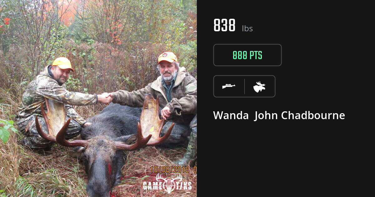 moose harvest by Wanda John Chadbourne