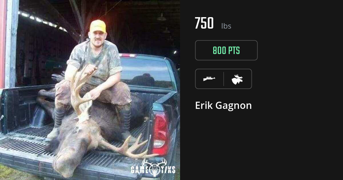 Moose harvest on Gametiks