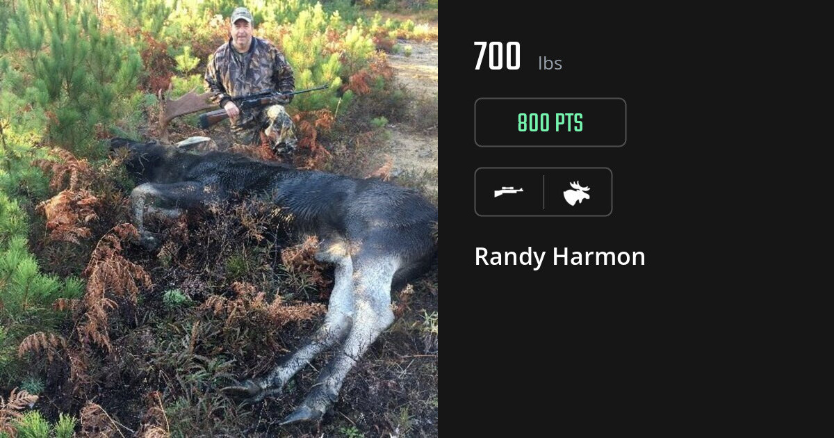 Moose harvest on Gametiks