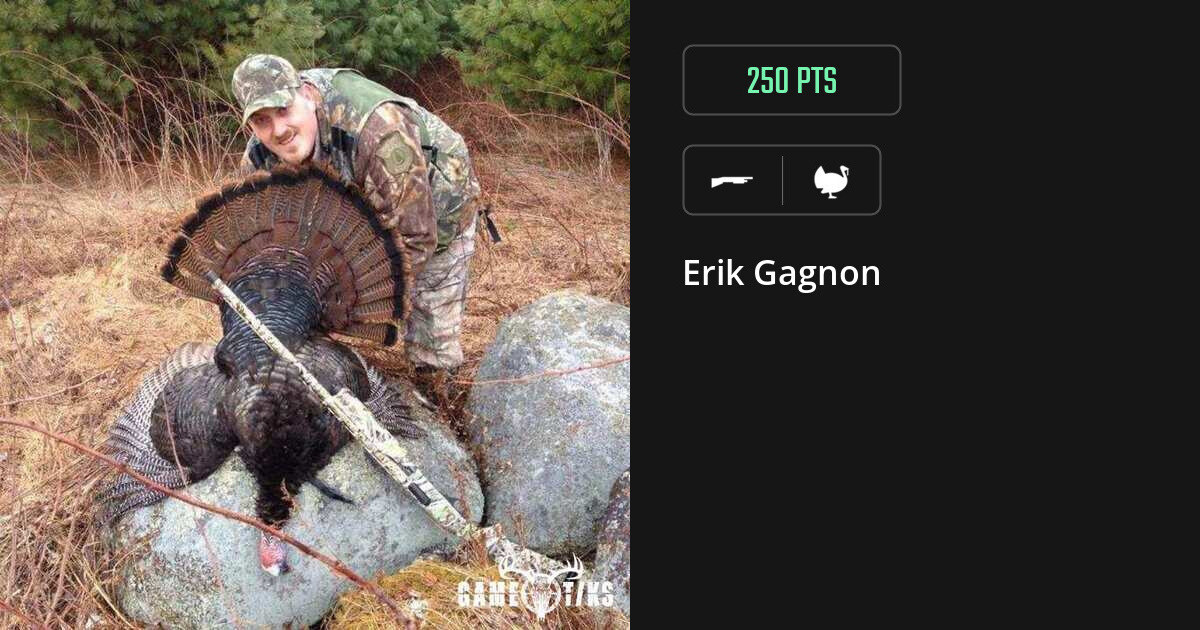 Turkey harvest on Gametiks