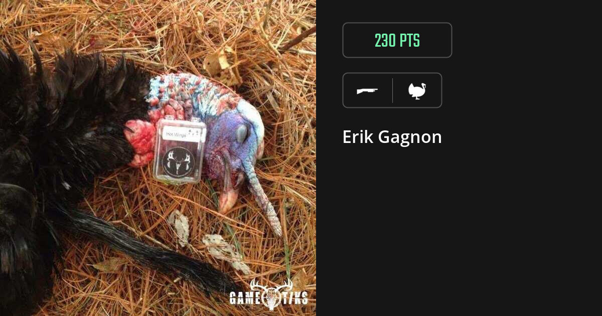 Turkey harvest on Gametiks