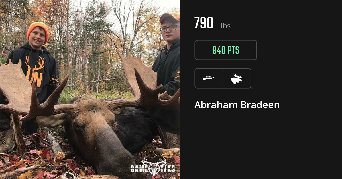 Moose harvest on Gametiks