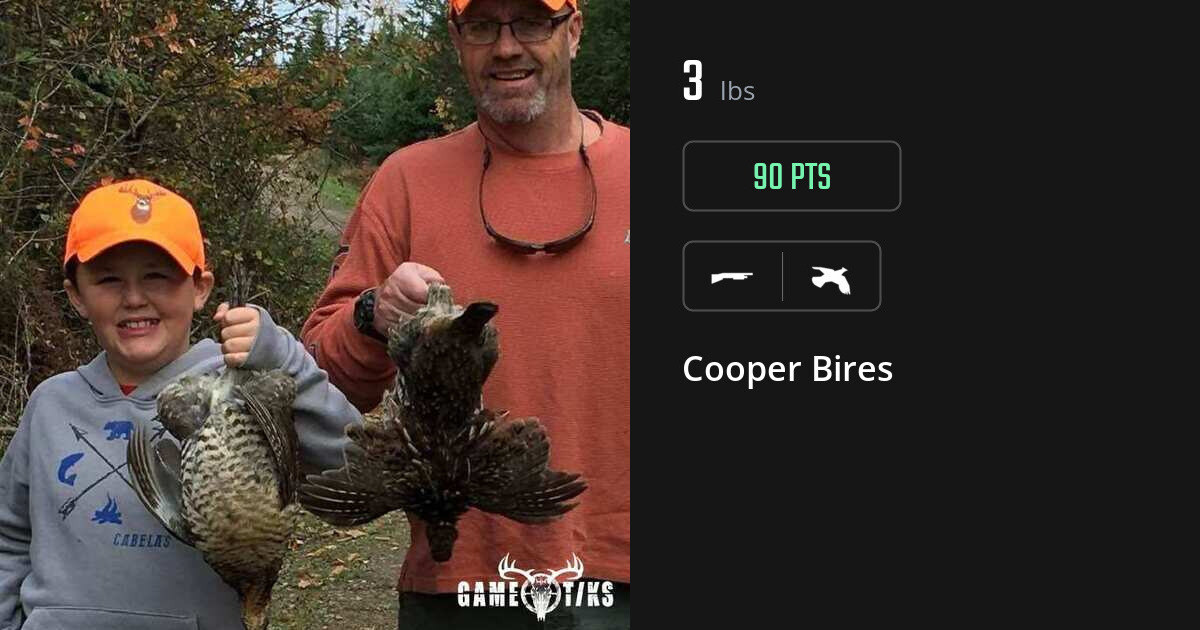 Upland bird harvest on Gametiks