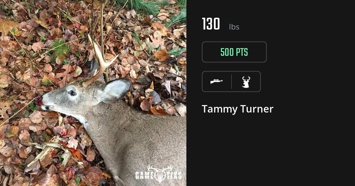 deer harvest by Tammy Turner