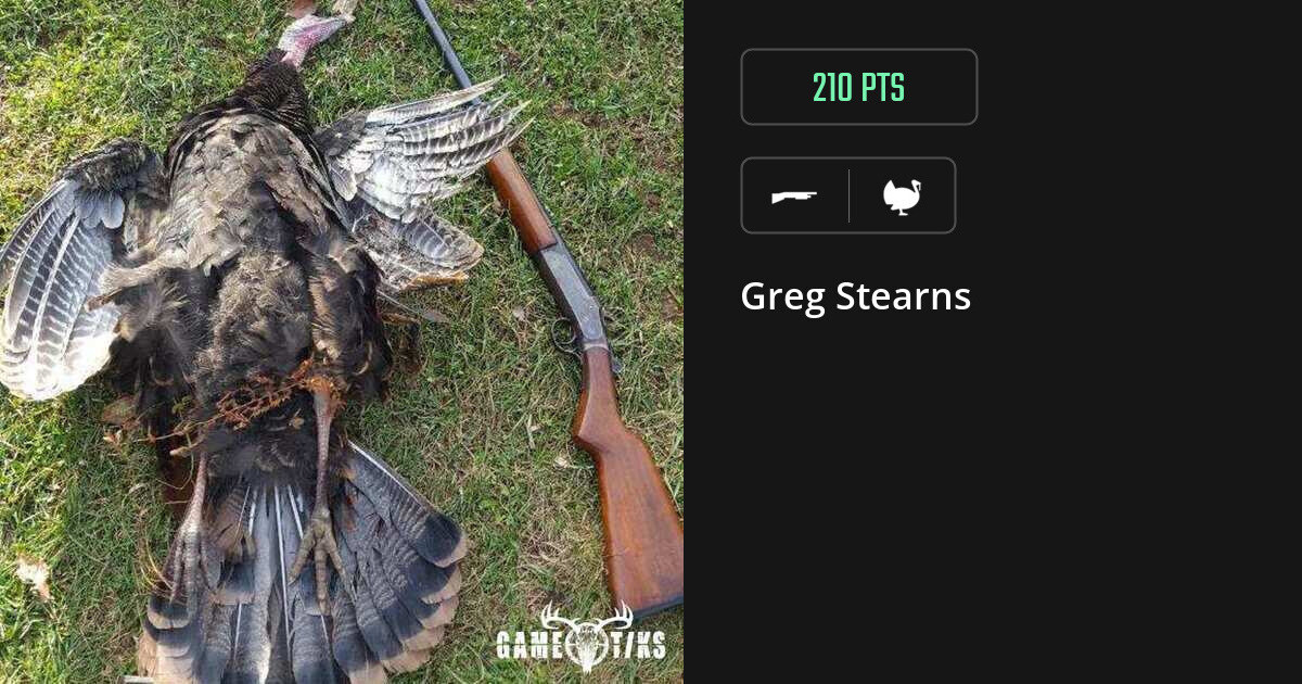 turkey harvest by Greg Stearns