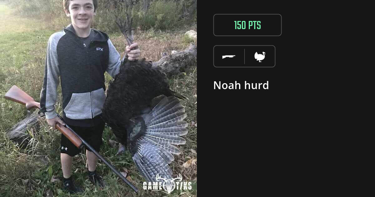 turkey harvest by Noah hurd
