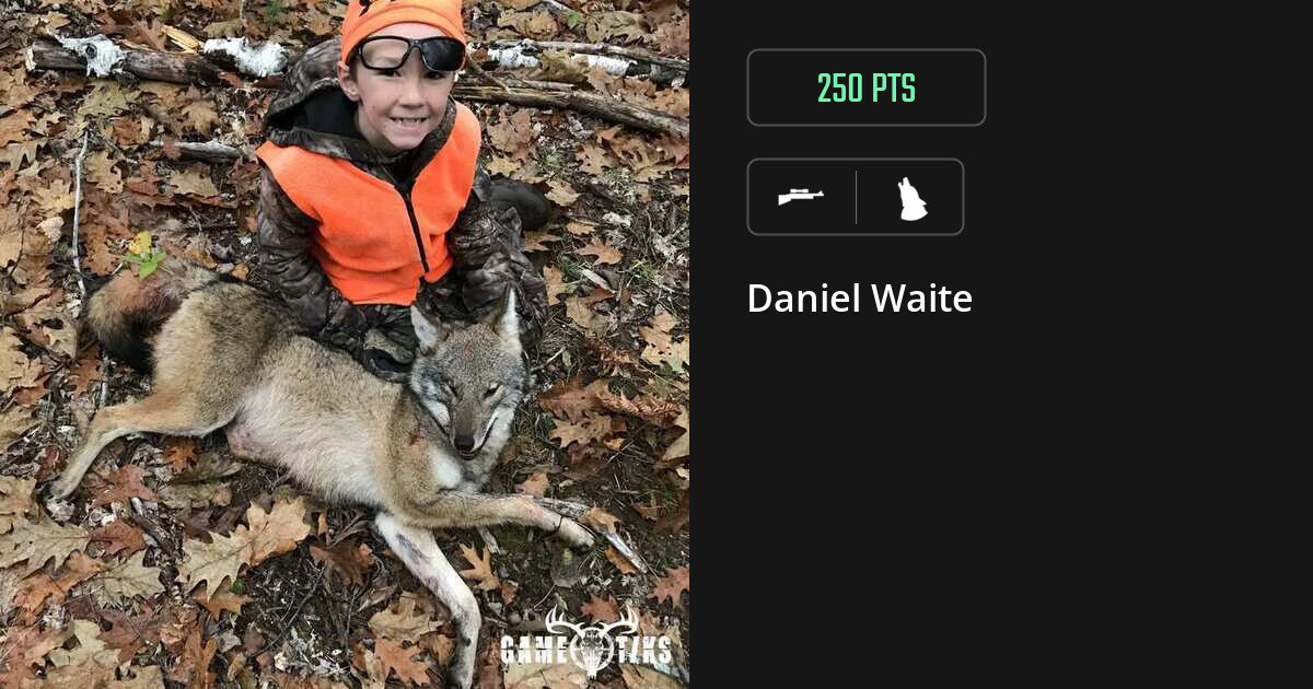 canine harvest by Daniel Waite