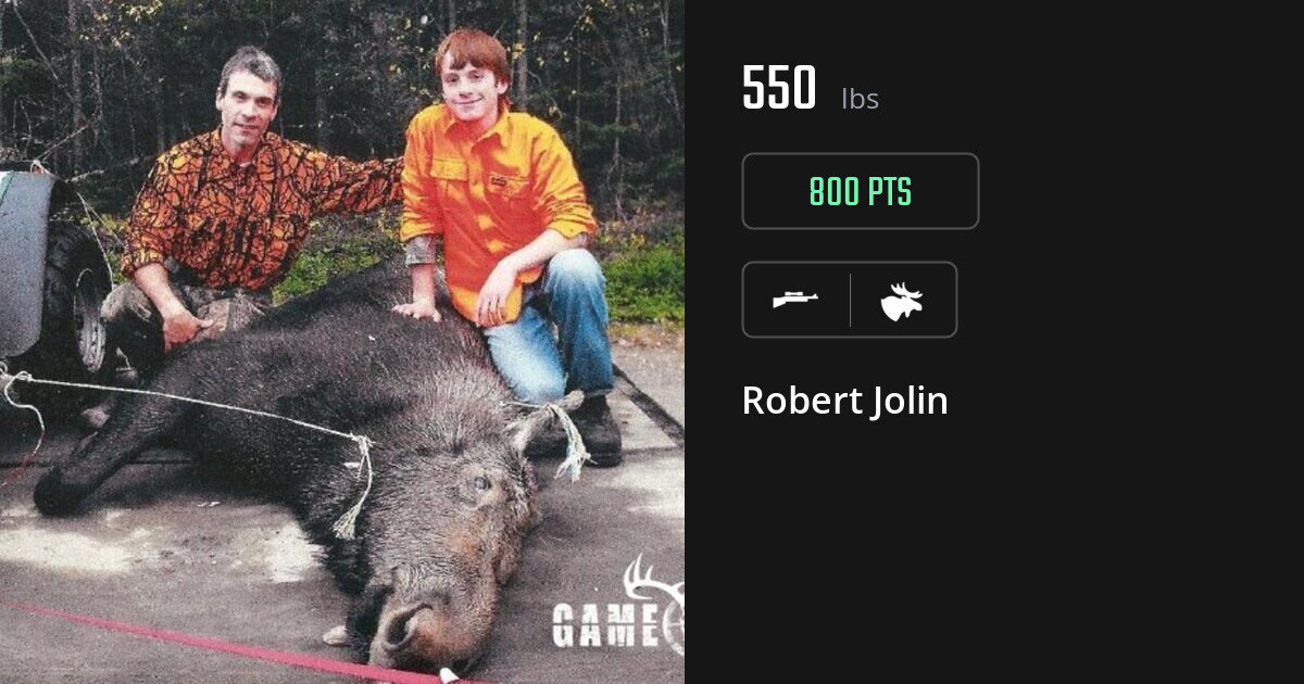 Moose harvest on Gametiks