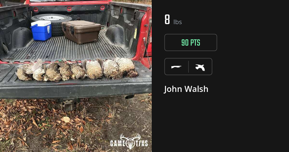 upland_bird harvest by John Walsh