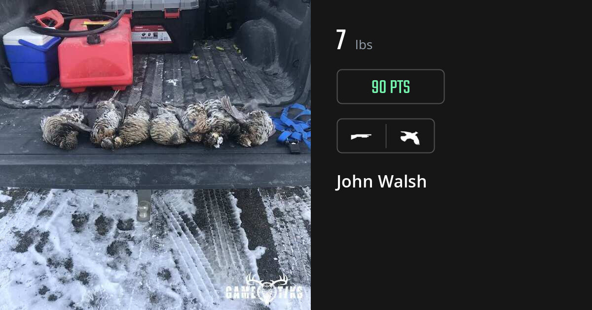 upland_bird harvest by John Walsh