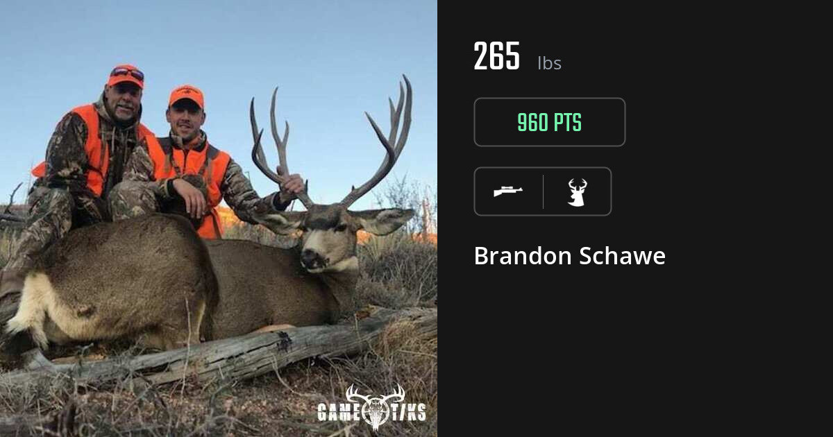 deer harvest by Brandon Schawe