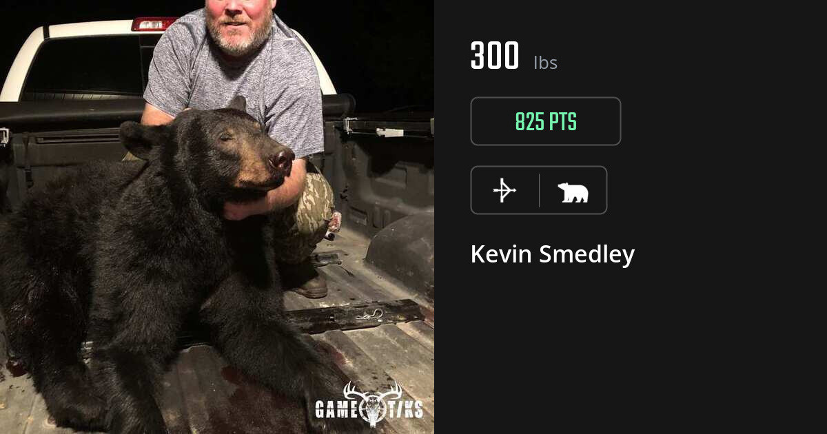 bear harvest by Kevin Smedley