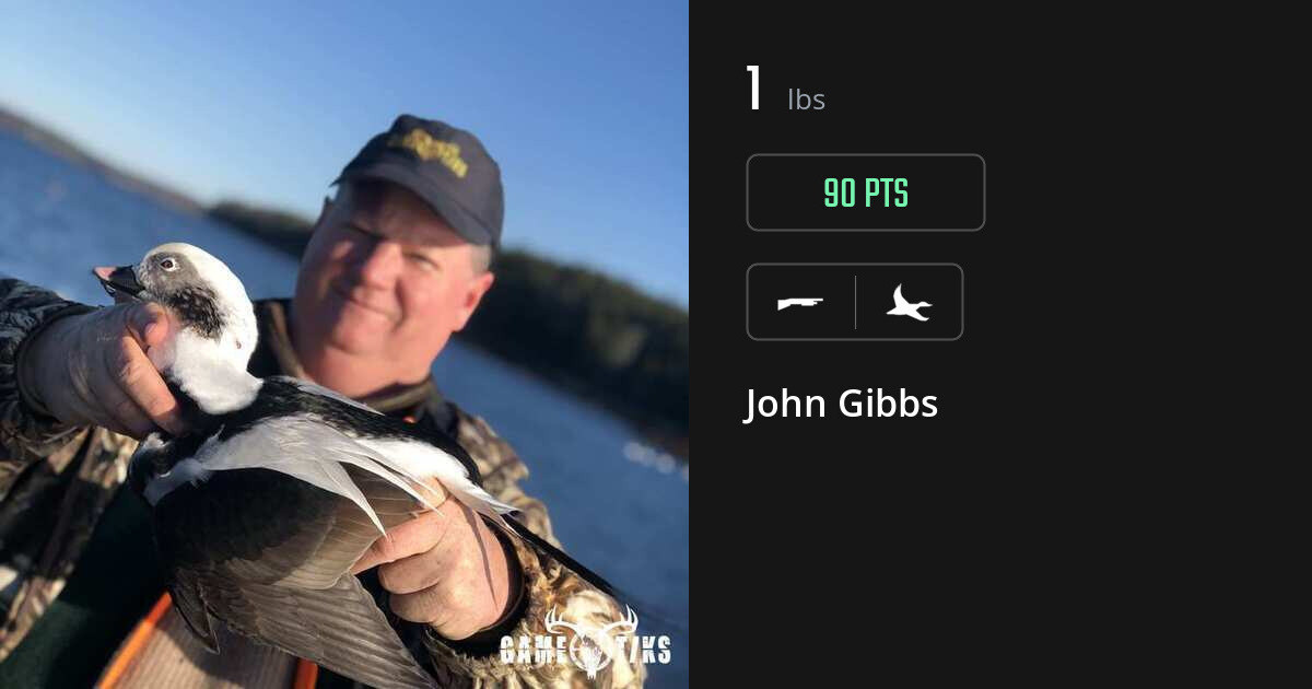 Waterfowl harvest on Gametiks