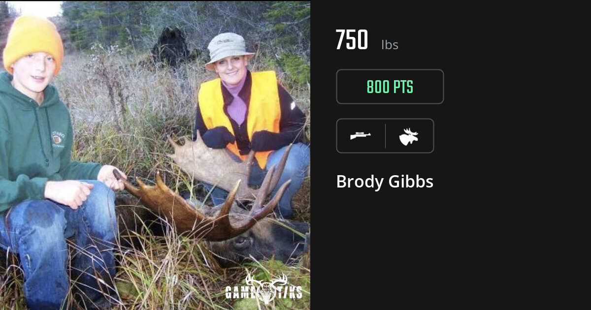 Moose harvest on Gametiks
