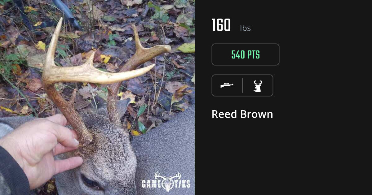 deer harvest by Reed Brown