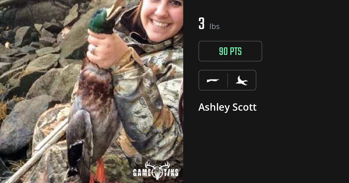 waterfowl harvest by Ashley Scott