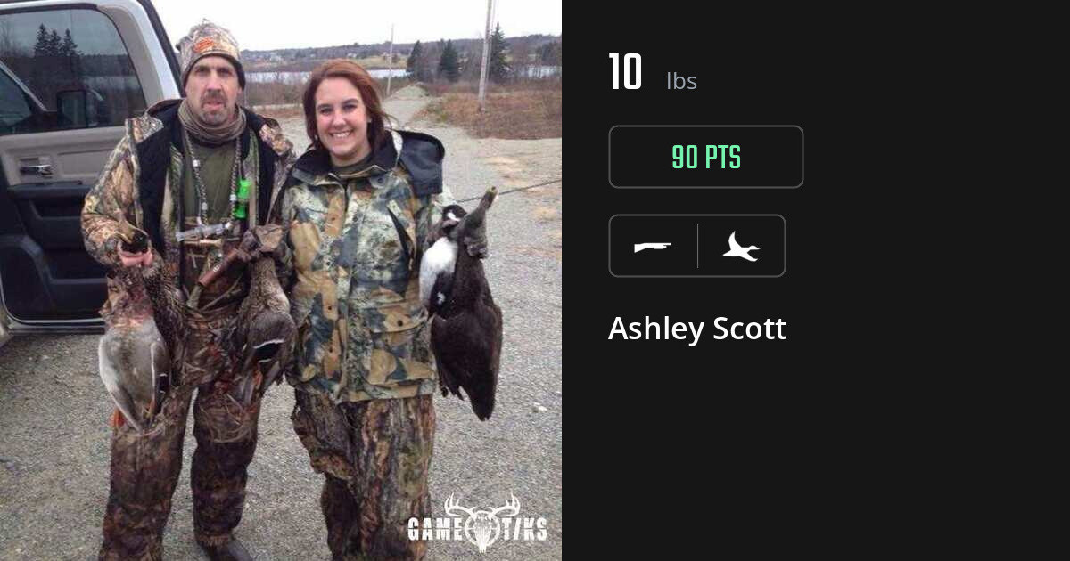 waterfowl harvest by Ashley Scott
