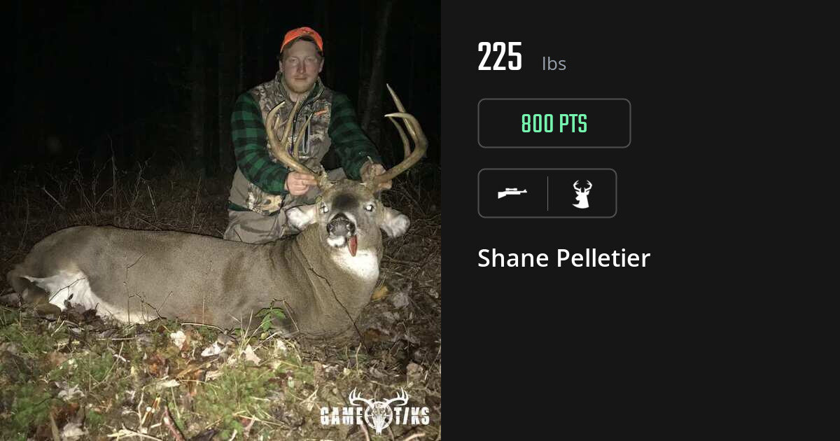 deer harvest by Shane Pelletier