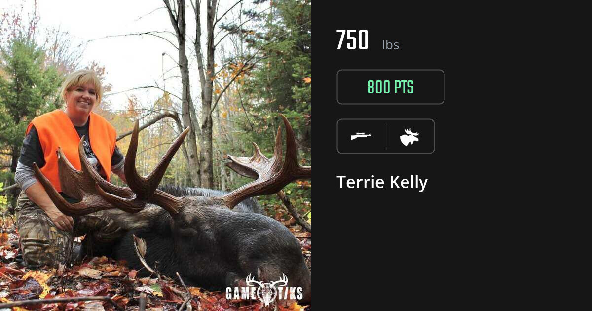 Moose harvest on Gametiks