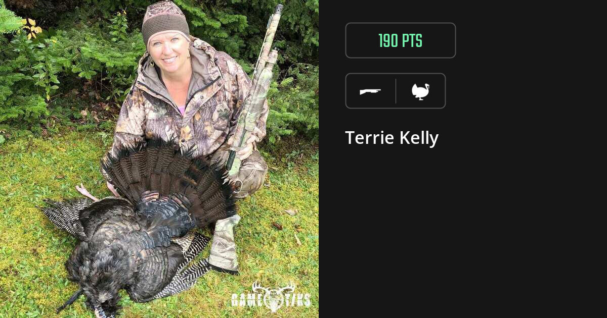 Turkey harvest on Gametiks