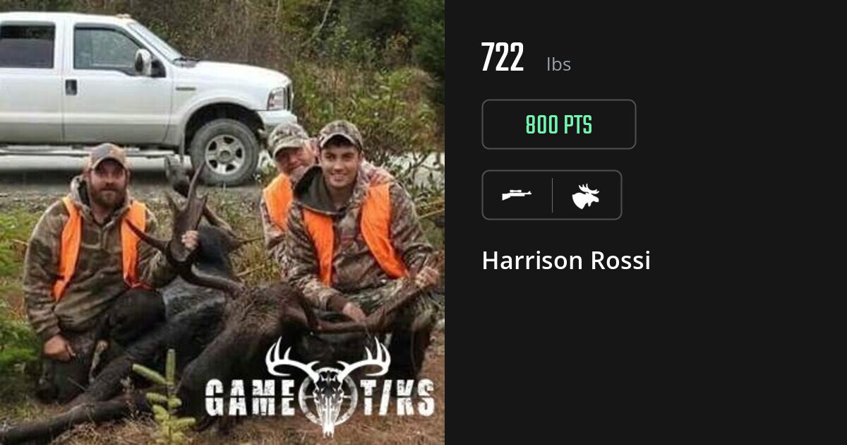Moose harvest on Gametiks