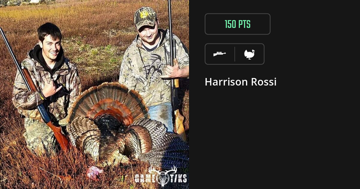 turkey harvest by Harrison Rossi