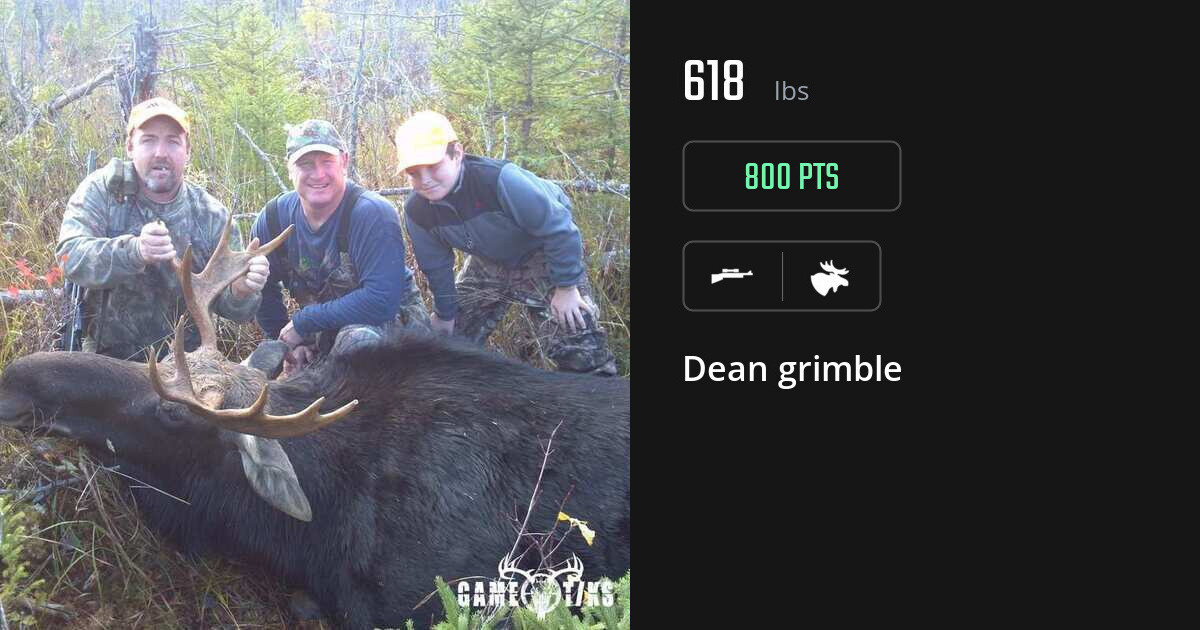 Moose harvest on Gametiks