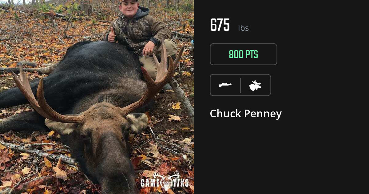moose harvest by Chuck Penney