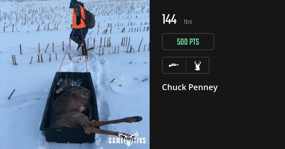 deer harvest by Chuck Penney