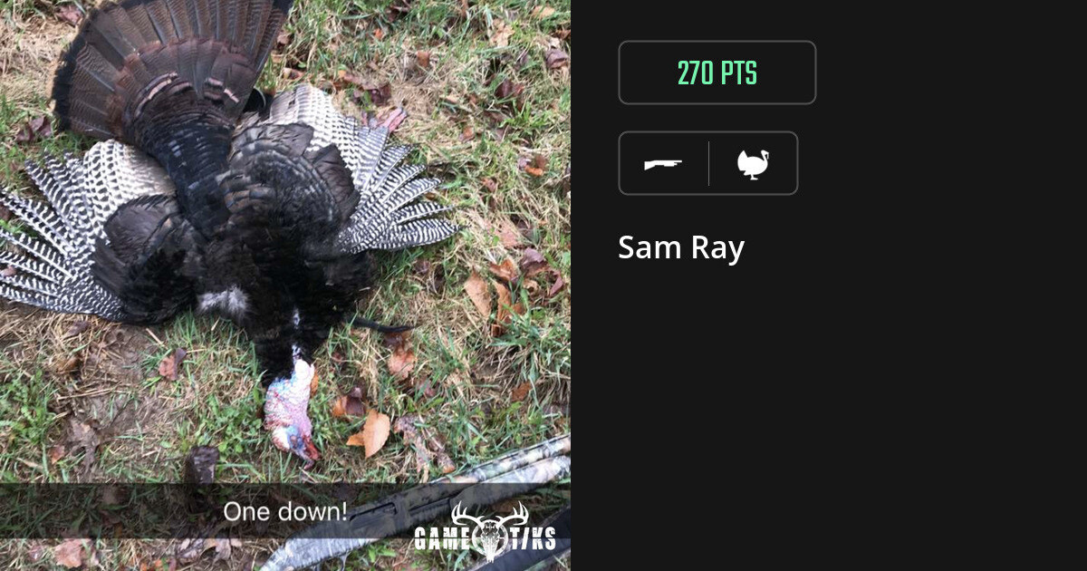Turkey harvest on Gametiks