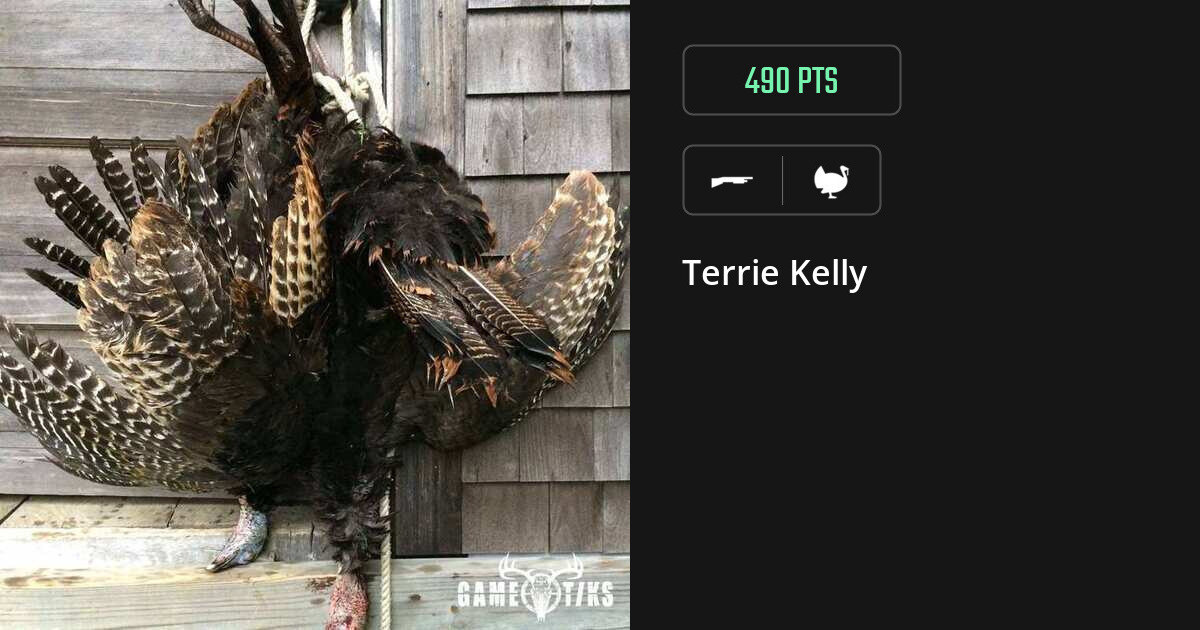 Turkey harvest on Gametiks