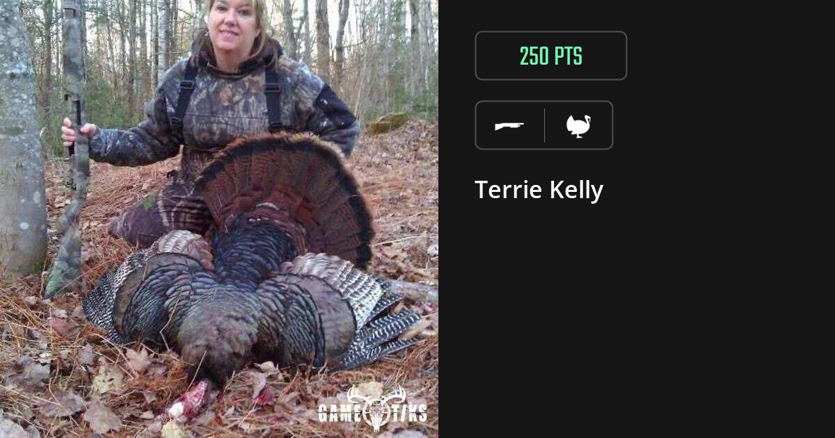 Turkey harvest on Gametiks