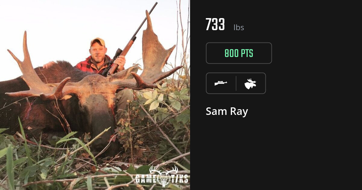 Moose harvest on Gametiks
