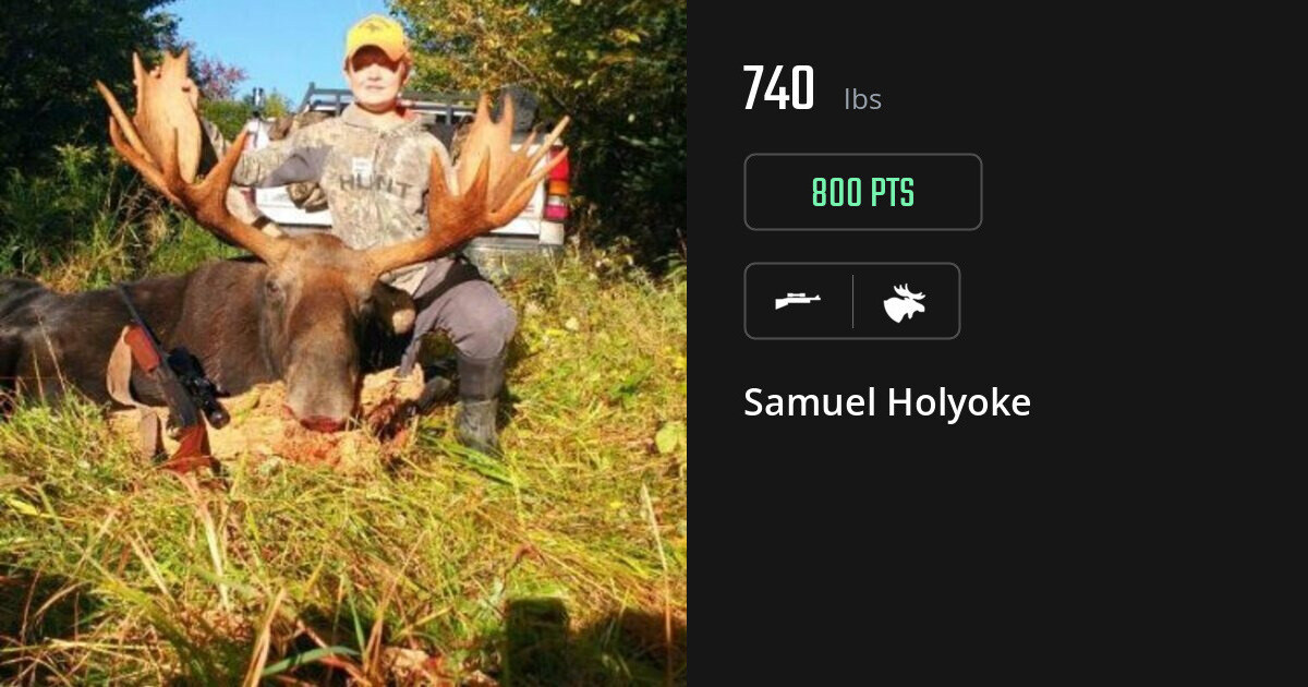 Moose harvest on Gametiks
