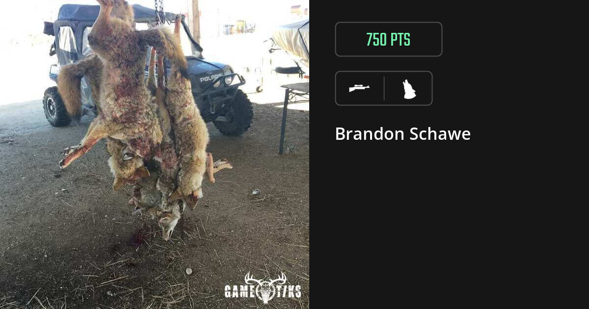 canine harvest by Brandon Schawe