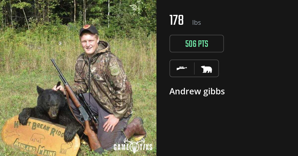 bear harvest by Andrew gibbs