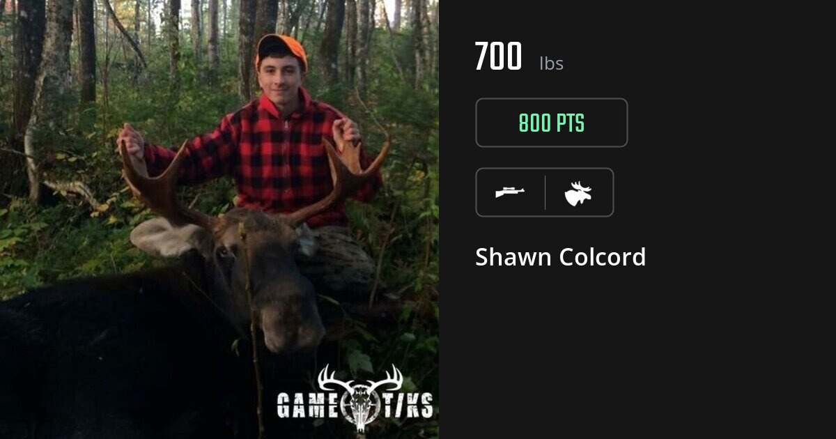 Moose harvest on Gametiks