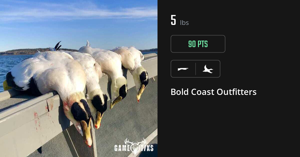 Waterfowl harvest on Gametiks