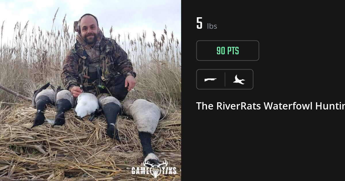 Waterfowl harvest on Gametiks