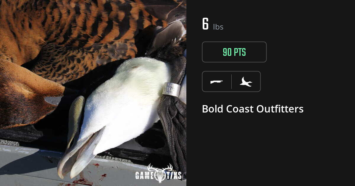 Waterfowl harvest on Gametiks