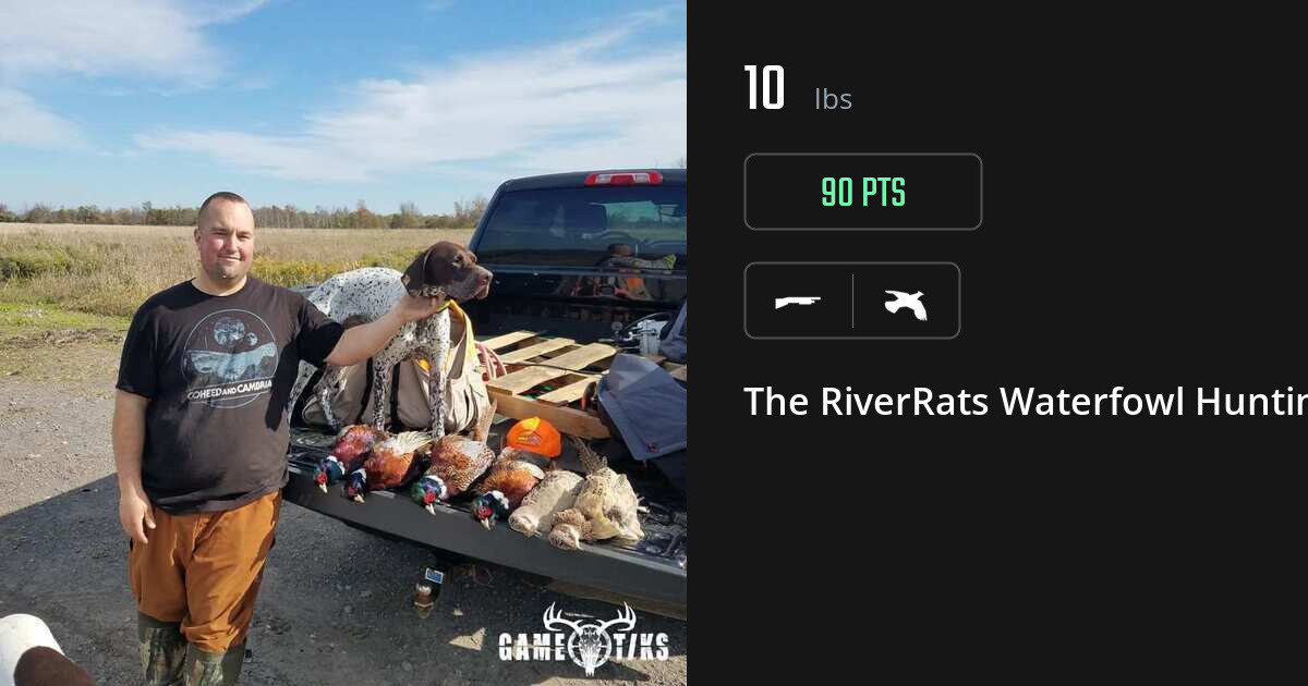 Upland bird harvest on Gametiks