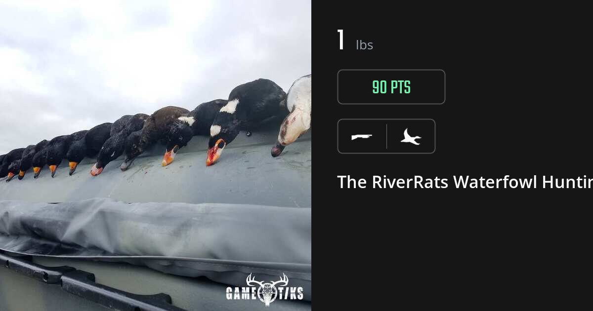 Waterfowl harvest on Gametiks