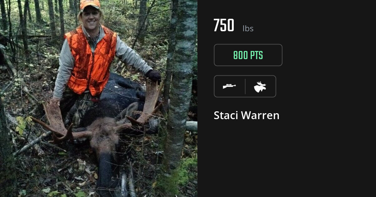 moose harvest by Staci Warren