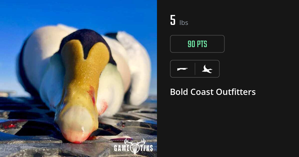 Waterfowl harvest on Gametiks