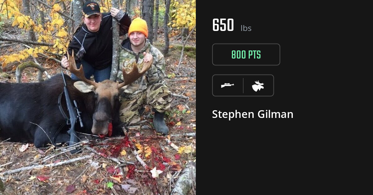 Moose harvest on Gametiks